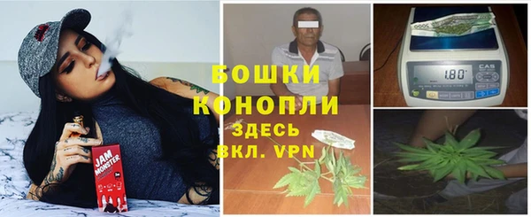 ешки Алексин