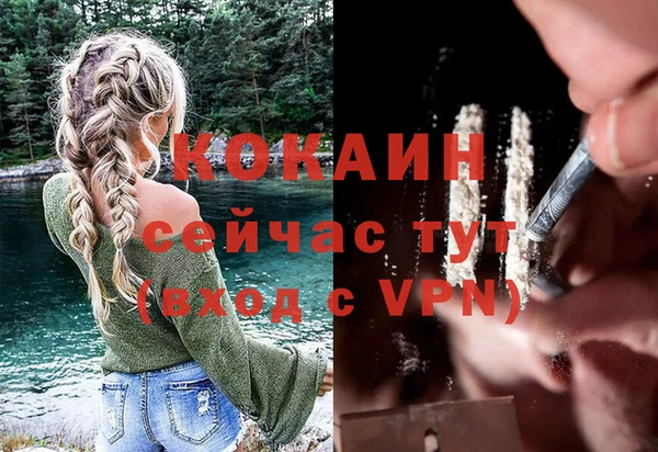 ешки Алексин